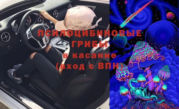 трава Арсеньев