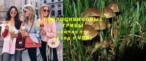 сатива Армянск