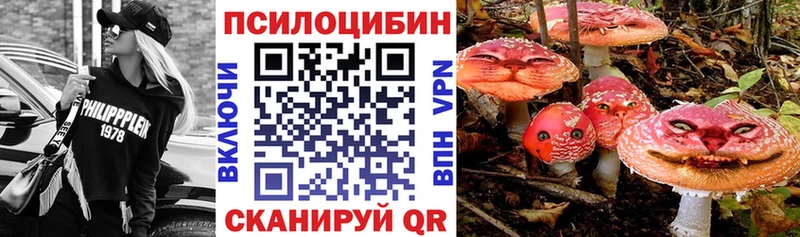 Галлюциногенные грибы Psilocybe  купить  цена  Ейск 
