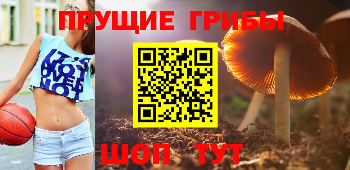 Ейск  Псилоцибиновые грибы Cubensis  Вход с VPN 